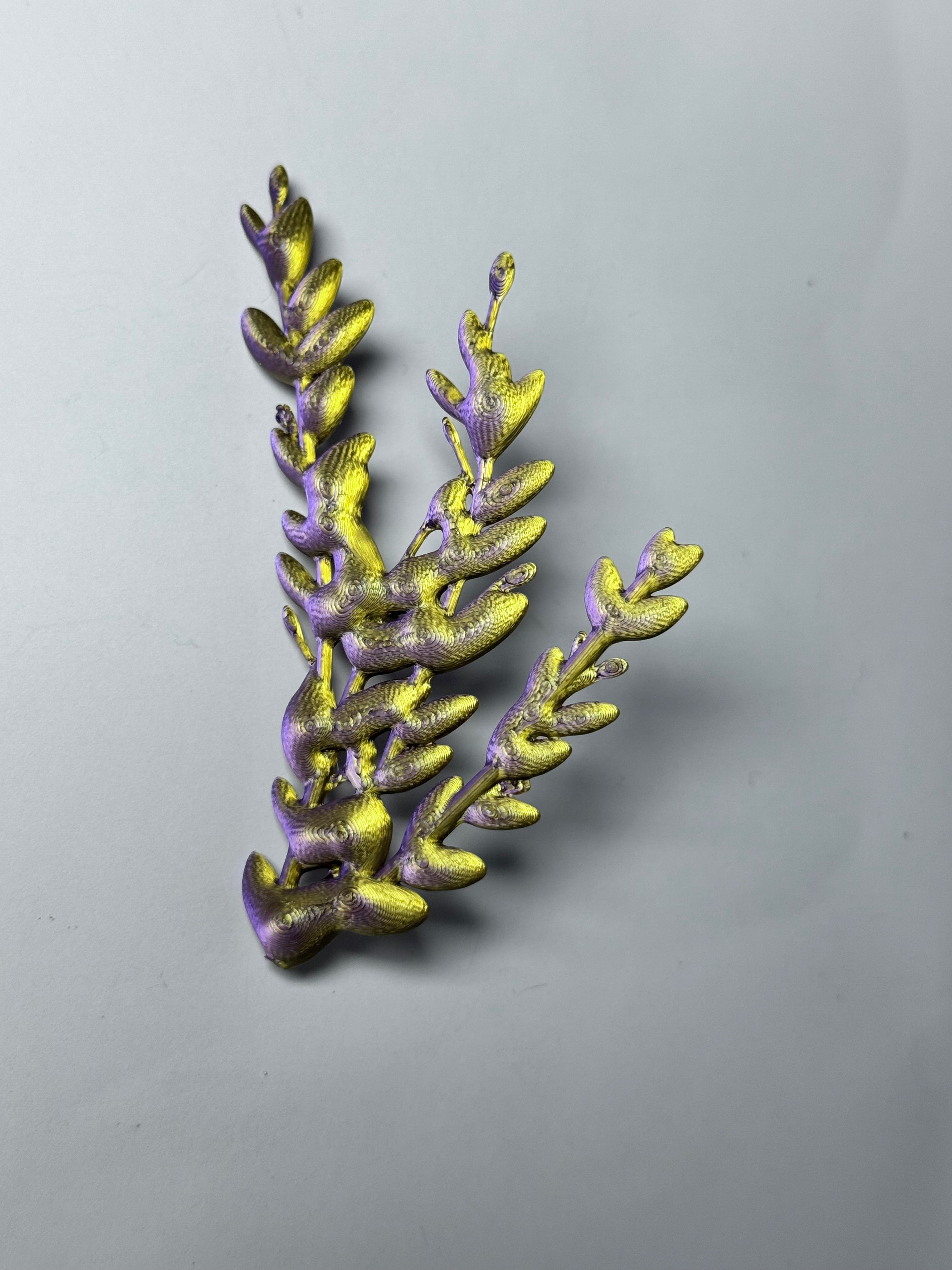 "Laurel" Matisse Series Earrings