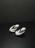 Tulip white